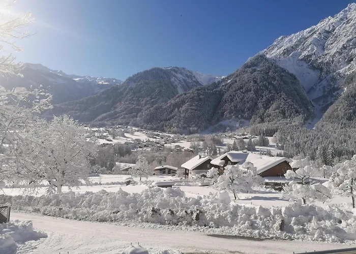 Apartment Ulrike Sankt Anton im Montafon